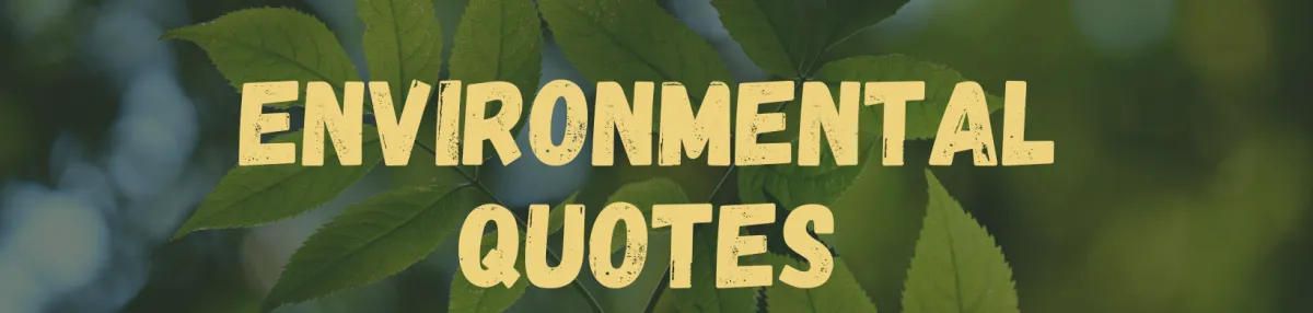Embracing Nature: Quotes to Inspire Environmental Conservation