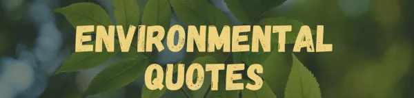 Embracing Nature: Quotes to Inspire Environmental Conservation