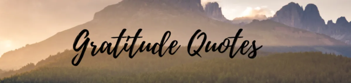 Cultivating Gratitude Quotes to Inspire Appreciation Quotes with images