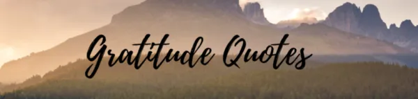 Cultivating Gratitude Quotes to Inspire Appreciation Quotes with images