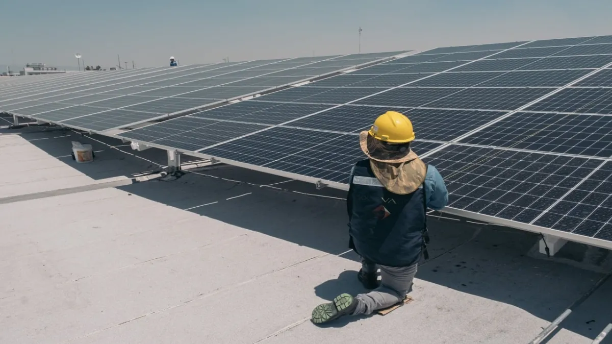 Waaree Energies IPO: What You Need to Know About Share Allotment and How to Check Your Status