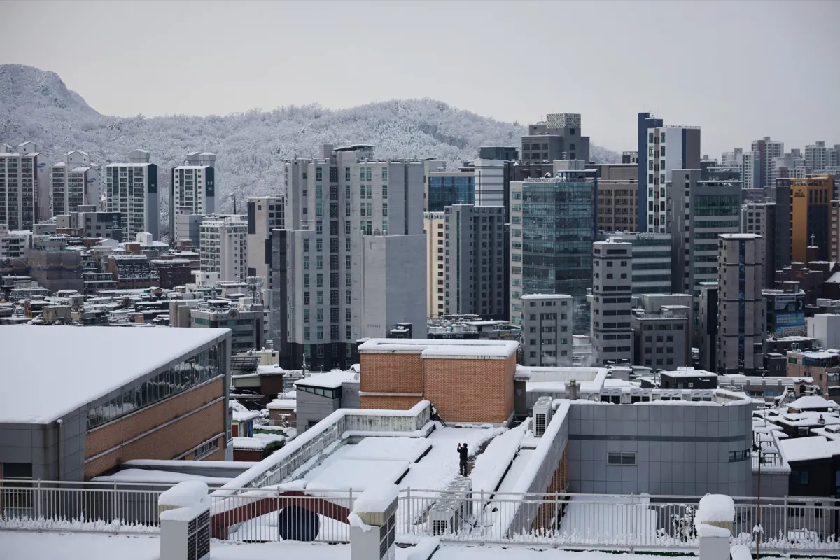 South Korea Faces One of Its Heaviest Blizzards in Over a Century
