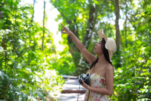 How to Travel Green Without Sacrificing Comfort