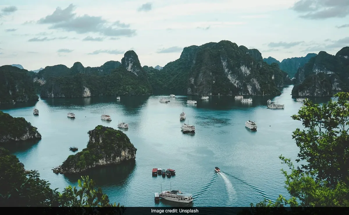Vietnam Faces Record Low Birth Rate in 2024: Implications for the Future