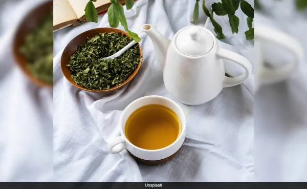 Green Tea: A Shield for the Aging Brain