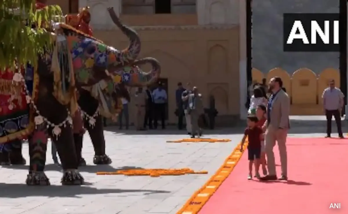 38ur3pcc_vance-elephant_625x300_22_April_25